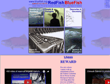 Tablet Screenshot of bluefish.org